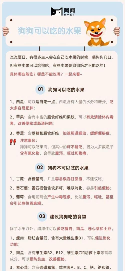 狗狗吃水果的讲究与禁忌（7种水果不适合狗狗食用，注意宠物健康！）