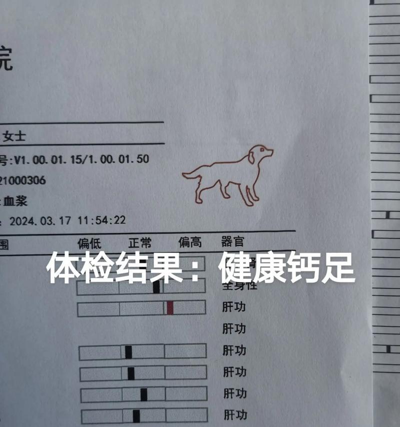 萨摩耶补钙的最佳时间和方法（科学饲养，让萨摩耶拥有健康骨骼）
