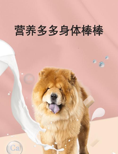 如何选择适合松狮犬的狗粮？（了解松狮犬的营养需求，选择最佳狗粮）