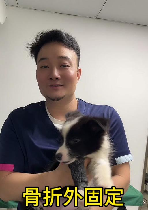 狗骨折需要多长时间愈合？（探究狗骨折的康复时间及相关因素）