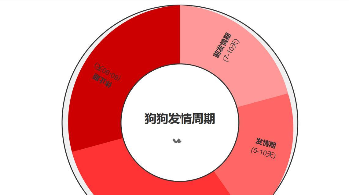 狗的生殖周期（了解母狗的生理变化及繁殖周期）