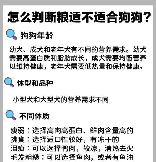 小狗进食频率的重要性（多久吃一次狗粮对小狗的健康有何影响）
