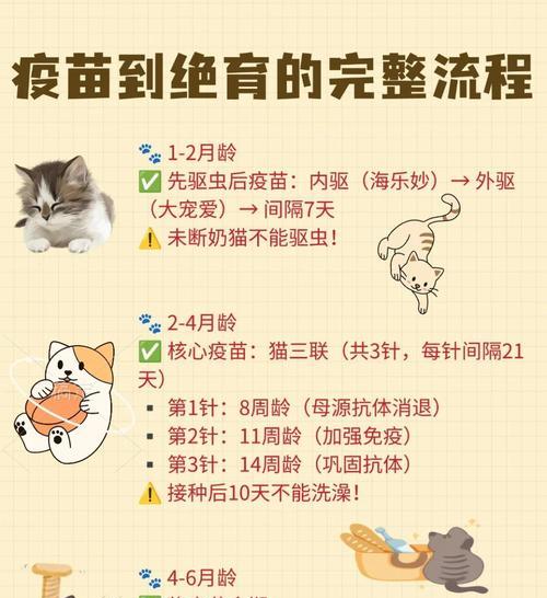 猫咪绝育（绝育手术费用、好处和注意事项）
