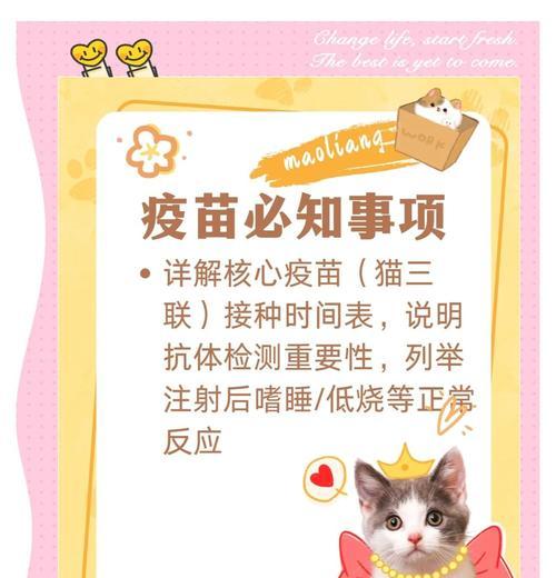 养猫必备的疫苗知识（打疫苗保护猫咪健康，关爱它们的生命）