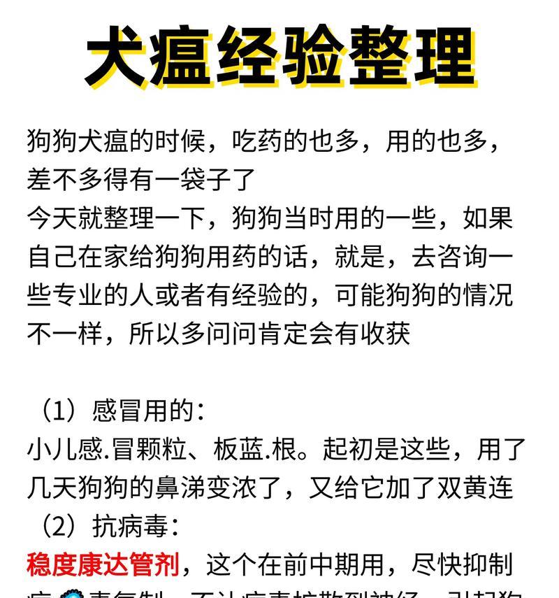 如何正确给狗狗喂药（掌握喂药技巧，让狗狗吃药不再难）