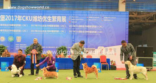 探索中国犬业协会的历史与成就（守护中华优秀犬种的领路者——中国犬业协会）