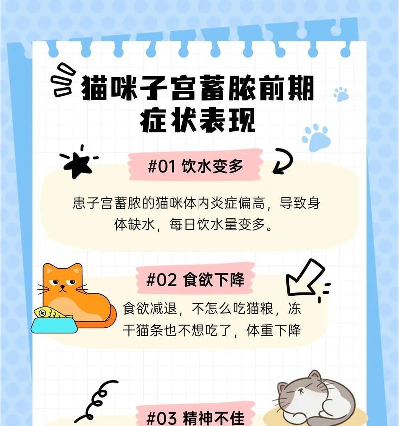 母猫子宫蓄脓，不可忽视！（了解猫病的危害，及早发现）