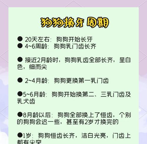 狗狗换牙的周期及注意事项（揭秘狗狗换牙的奥秘，让爱宠笑口常开！）