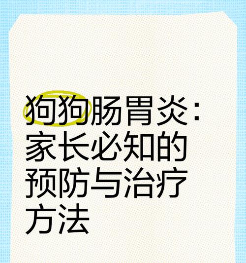 狗狗肠炎的治疗方法详解（预防、饮食、药物和医疗护理是治疗肠炎的重要步骤）