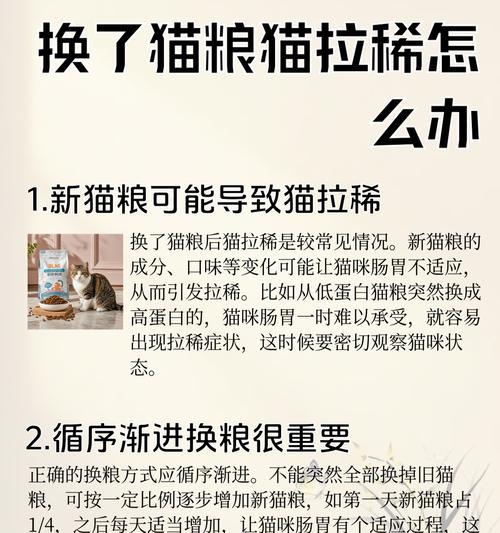 猫咪拉肚子需要多久才能好转？（了解猫咪拉肚子的症状、原因和治疗方法）