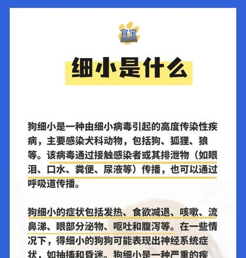 细小病毒（探究狗狗细小的症状及预防方法）