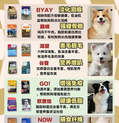 狗粮中泡软对狗狗的影响究竟有多大？（深度解析狗狗长期食用泡软狗粮的健康问题及解决办法）