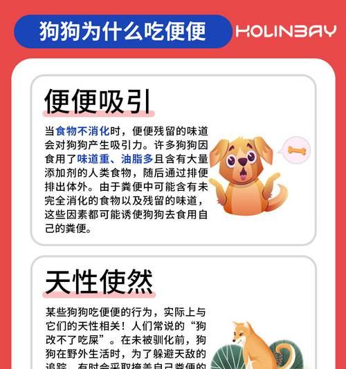 小狗吃完东西后多久会排便？（饮食与排便的关系以及时间间隔）