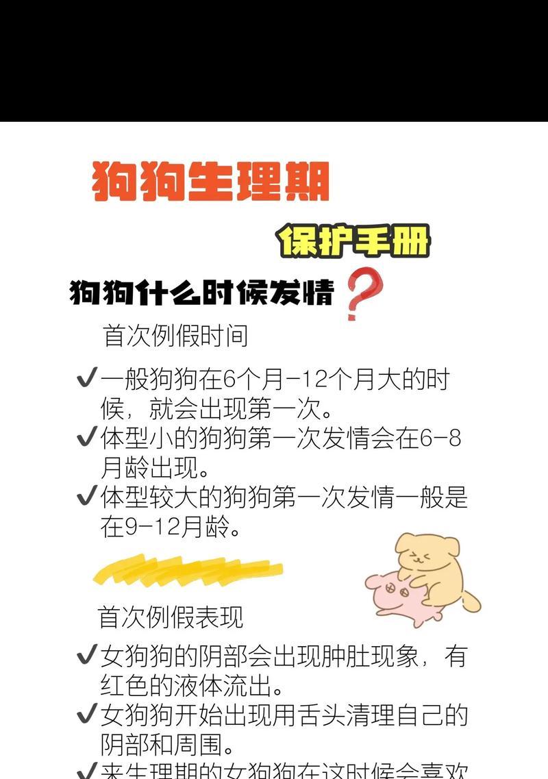 狗狗交配的最佳时间探讨（了解狗狗月经周期，找准最佳交配时机）