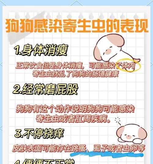 为你的宠物狗进行体外驱虫的重要性与方法（掌握正确的狗狗体外驱虫方法，守护爱宠健康）