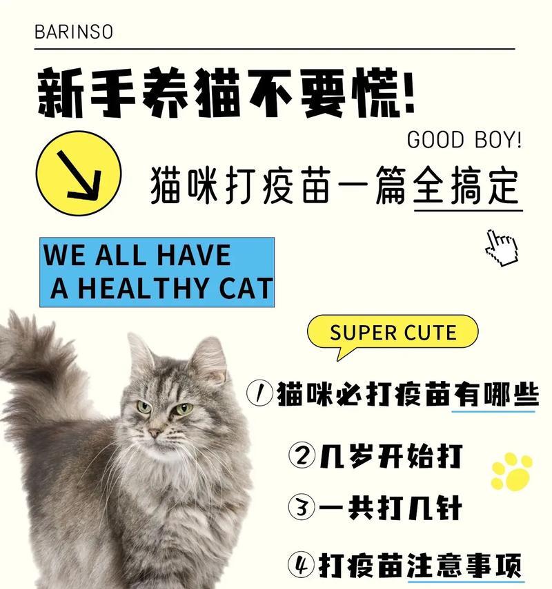 宠物猫打预防针的重要性（保护宠物猫免受疾病侵害的必要措施）