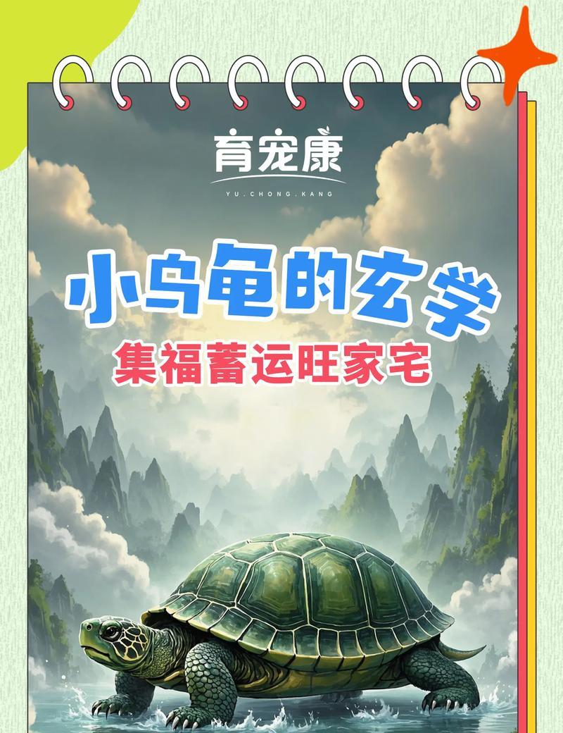 乌龟的长寿之谜（揭秘乌龟为何寿命长？——探索乌龟长寿的原因）