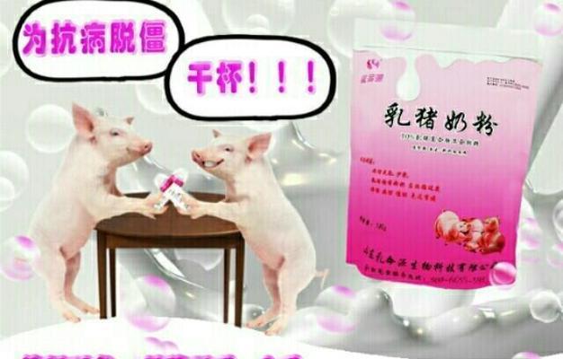 小猪拉稀问题的治疗方法及效果优化（猪场内喂奶小猪拉稀如何治疗？）