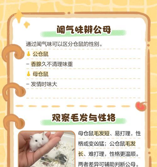 如何准确判断仓鼠的性别？（从外部特征和行为举止入手，轻松辨别仓鼠的性别）