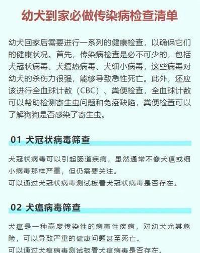 宠物疾病对人的传染风险（了解宠物疾病对人的潜在威胁与预防措施）