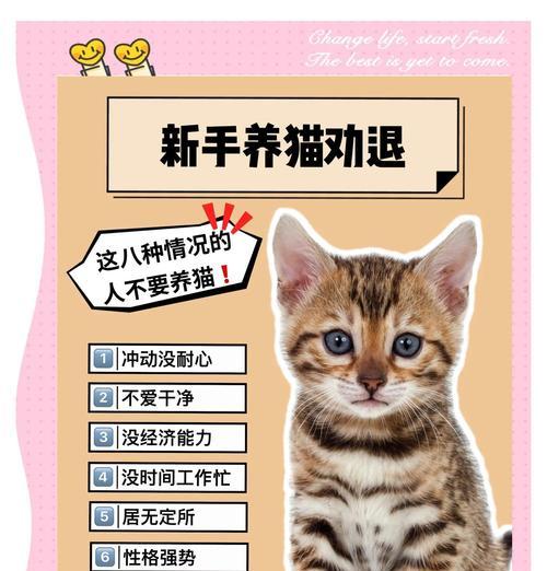 猫咪的八个爱干净特点（揭秘猫咪为何如此爱干净及其行为习惯）