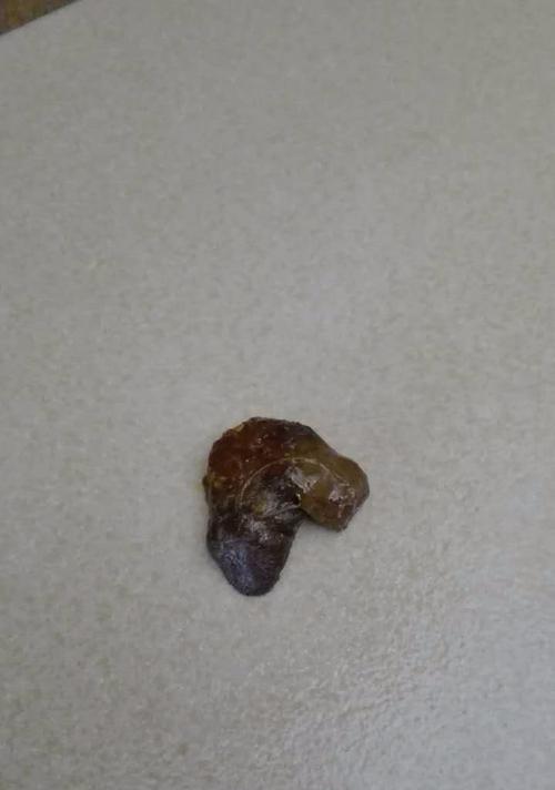 大贵宾的拉便频率及影响因素调查（探究大贵宾拉便的时间间隔与饮食、运动等因素之间的关系）