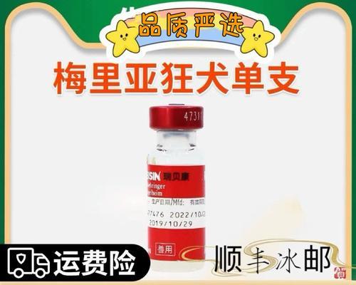 掌握狗狗疫苗种类，保护宠物健康（了解常见的狗狗疫苗种类及其作用）
