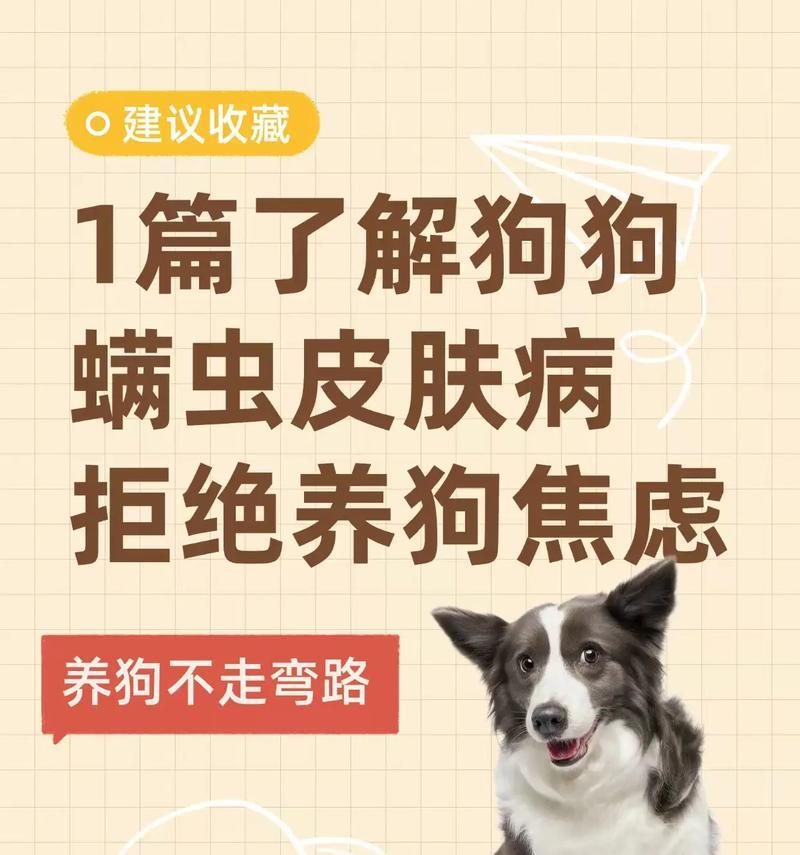 狗狗皮肤病的潜伏期有多久？（探究狗狗皮肤病的潜伏期长短及其影响因素）