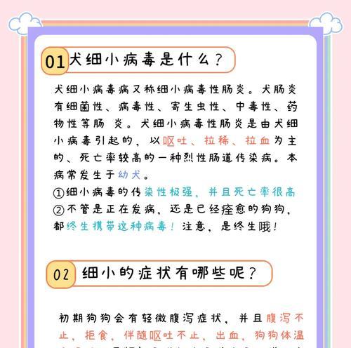 细小病毒传染性减弱的时间周期（探索细小病毒传染性减弱的因素与时间间隔）