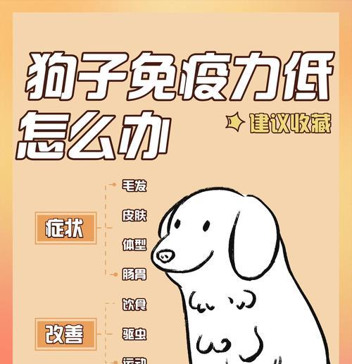 小狗的营养不良（宠物狗营养不良的原因及有效改善方法）