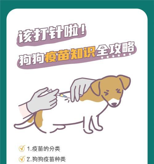 狗狗打针后药效管多久？（探究狗狗接种疫苗后药效的持续时间）