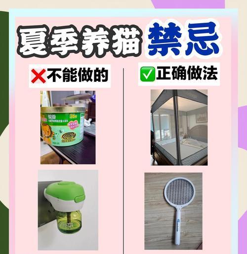 1-3月龄幼猫的喂养指南（关于幼猫喂养的注意事项及方法）