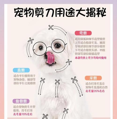 小狗剪毛（萌宠美容不可忽视的细节）
