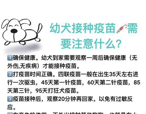 小狗疫苗接种时间及必要性（了解小狗疫苗接种的关键时刻及非核心疫苗的必要性）