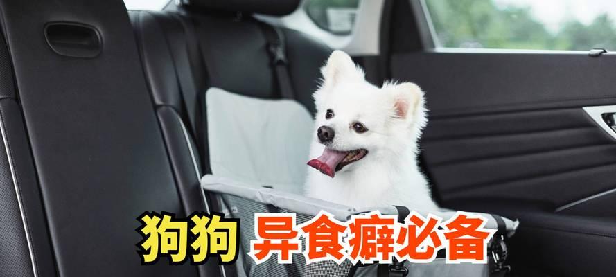 如何为狗狗补充微量元素（养宠必知，给狗狗补充微量元素的正确方法与注意事项）