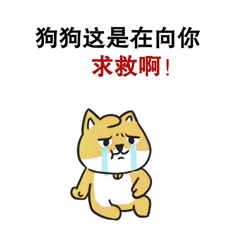 狗狗为什么拿头拱主人？（探究狗狗拿头拱主人的7个信号及其意义）