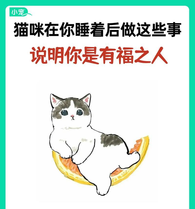 揭秘猫咪为何不与人共眠（探讨猫咪不跟人睡觉的原因及其背后的信任问题）