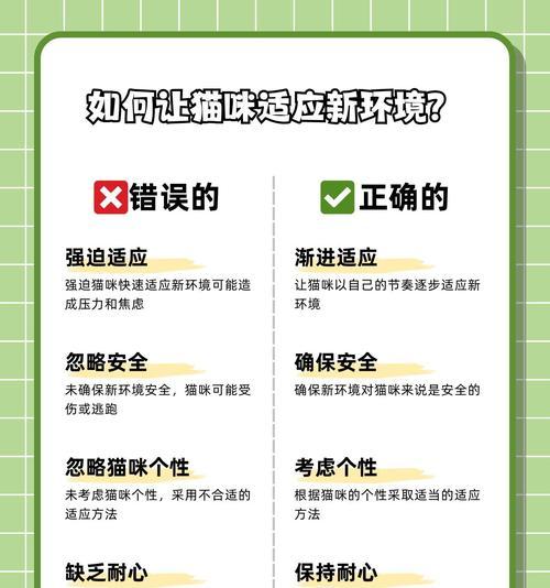 猫咪适应新环境需要多久？（探索猫咪适应新环境的时间和过程）