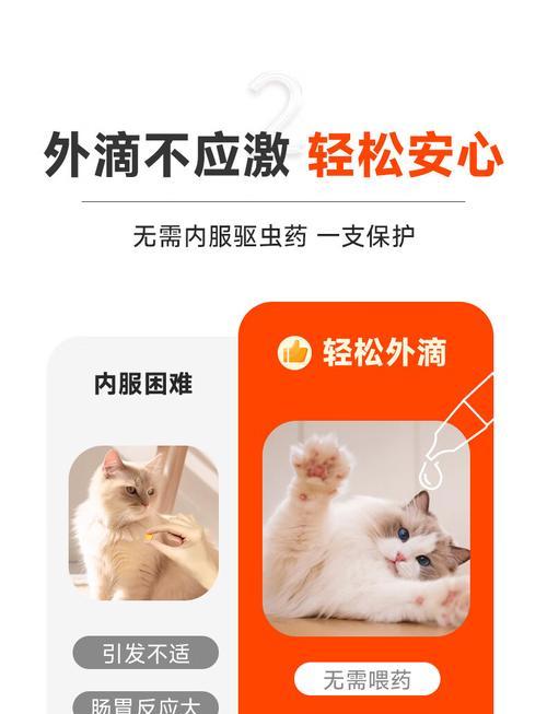 外驱与内驱的平衡（外驱后多久再内驱？探究猫咪内外驱行为的时间间隔及关键因素）
